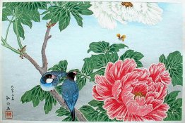 Peony and Paddy-birds