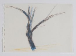 Untitled (After Nature: Tree)