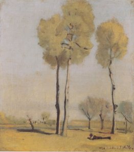 Spanish landscape