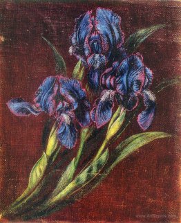 Irises