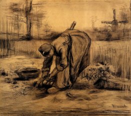 Peasant Woman Lifting Potatoes