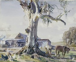 The farmyard gum