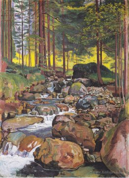 Forest with a mountain stream