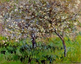 Apple Trees in Bloom at Giverny