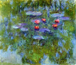 Water Lilies