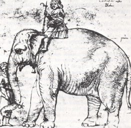 Hanno, The Pope’s Leo X Elephant