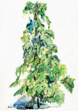 Vine-stock in Spring - watercolor in Switzerland