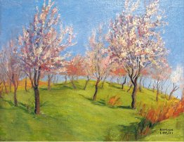 Blooming Apple Trees