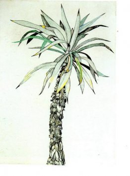 Palm Tree