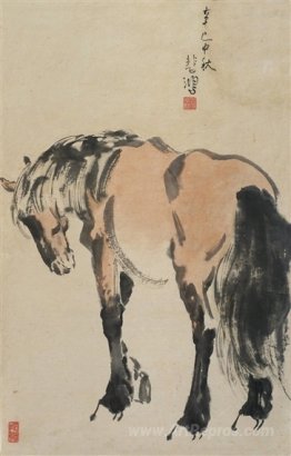 A Standing Horse