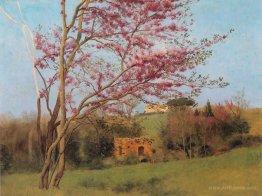 Landscape: Blossoming Red Almond (study)