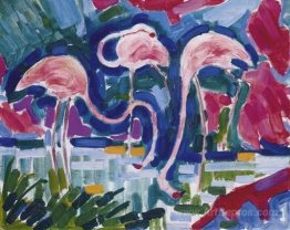 Les flamants