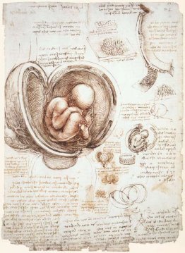 Studies of the foetus in the womb