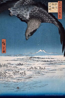 Eagle Over 100,000 Acre Plain at Susaki, Fukagawa (Juman-tsubo)