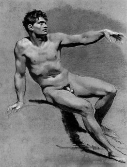 Academic Male Nude