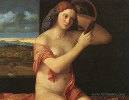 Naked young woman in front of the mirror