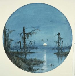 Bayou in Moonlight