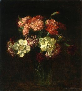 Carnations