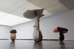 Giant Triple Mushrooms