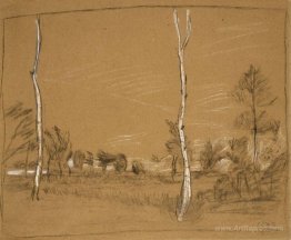 Landscape with birch trees