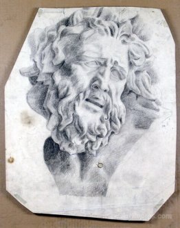 The head of Laocoon