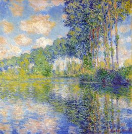 Poplars on the Epte