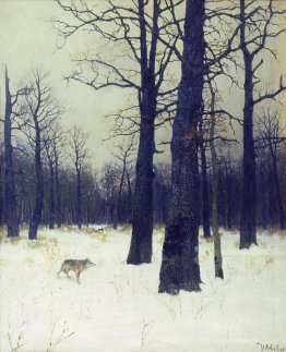 In the forest at winter