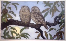 Two Owls