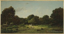 Clearing in the high forest of Fontainebleau forest X, said the 