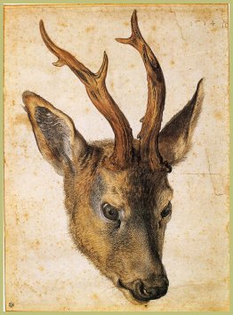 Head of a Stag