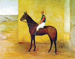 Jockey and horse