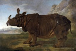 Clara the Rhinoceros