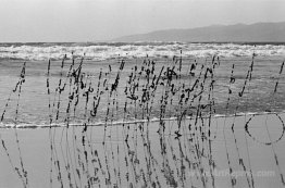 Hair and Wire, Venice Beach