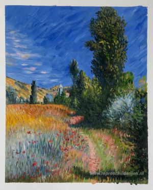 Landscape on the Ile Saint-Martin