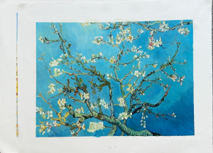 Branches with Almond Blossom 